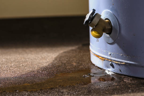 Best Flooded house restoration  in Alburtis, PA