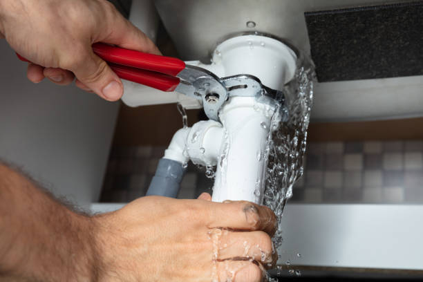 Best Water damage cleanup near me  in Alburtis, PA