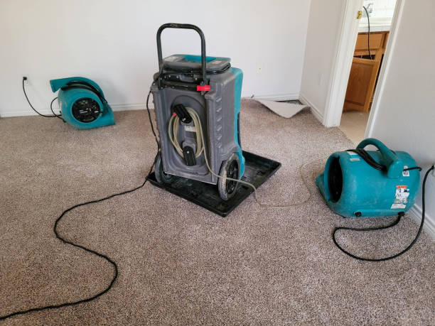 Best Mold removal after water damage  in Alburtis, PA