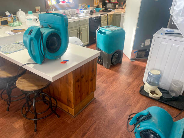 Best Commercial water damage restoration  in Alburtis, PA