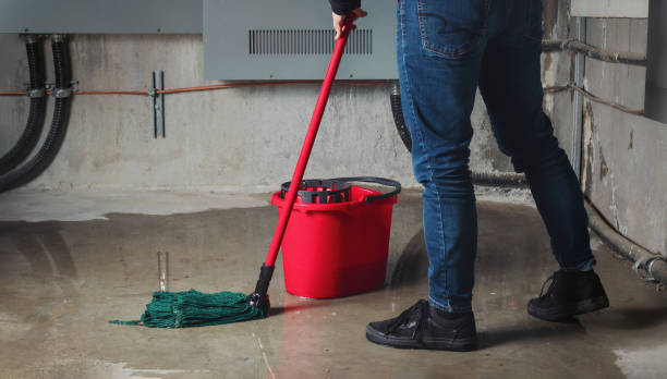 Best Emergency water extraction  in Alburtis, PA