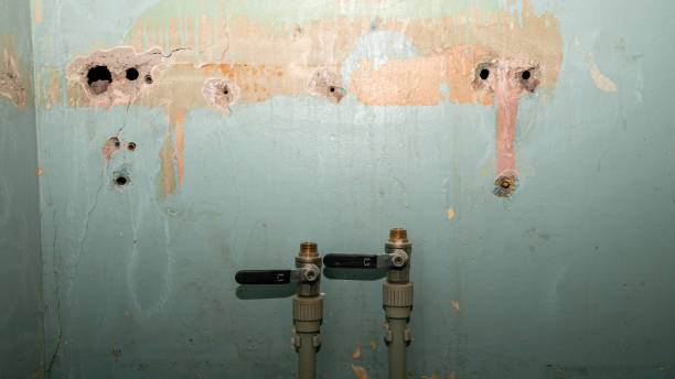 Best Fire Damage Restoration  in Alburtis, PA