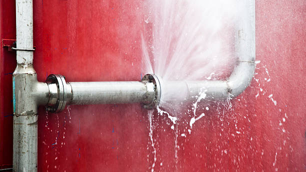 Best Water damage contractors near me  in Alburtis, PA