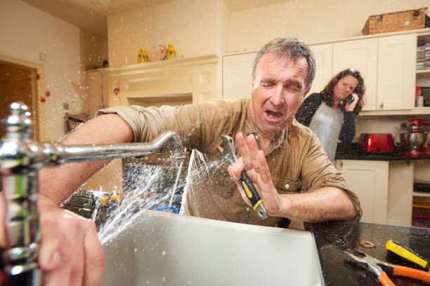 Best Basement water damage restoration  in Alburtis, PA